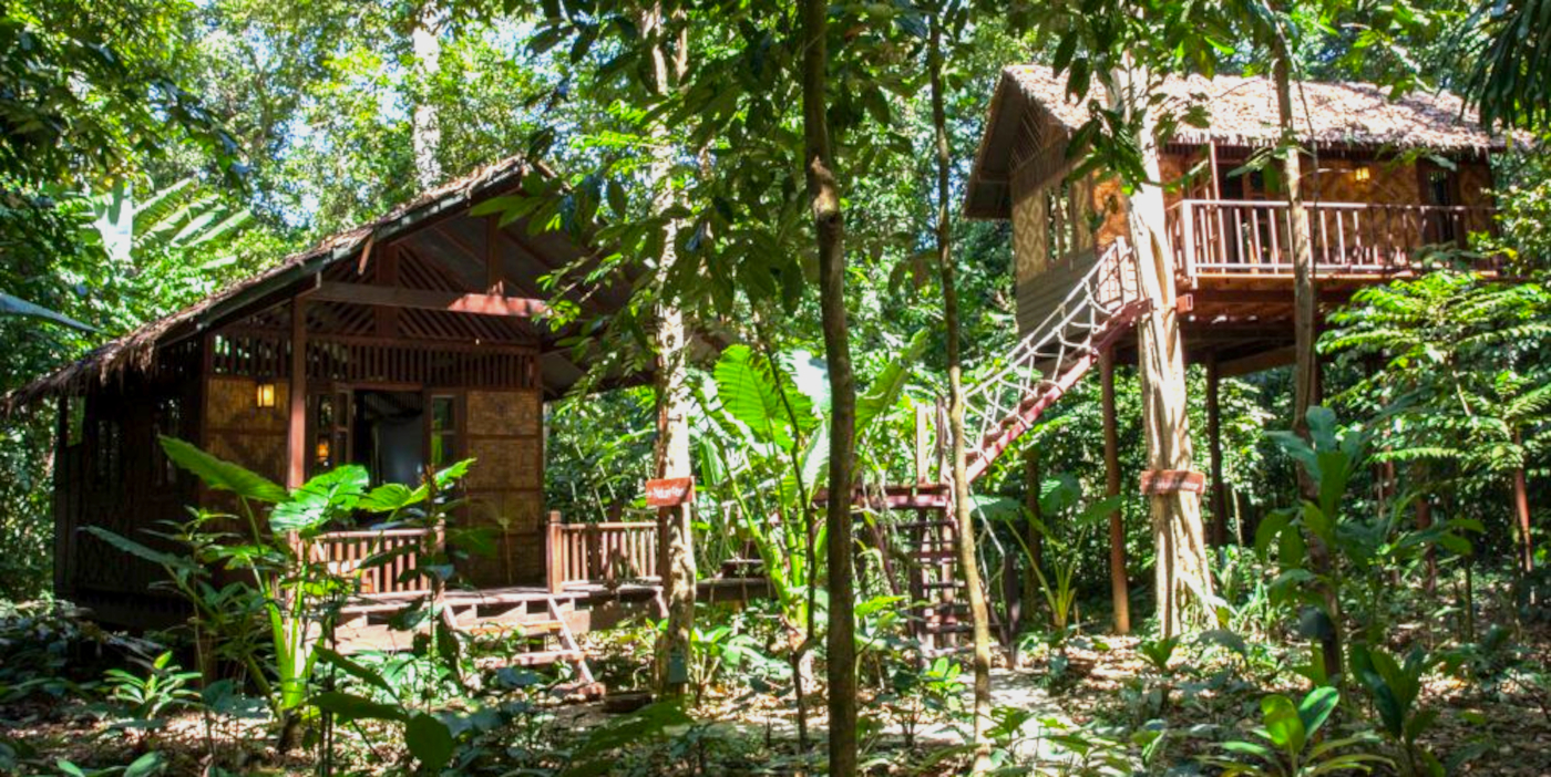 Our Jungle House - Beyond Tourism